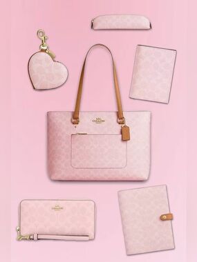 Coach Powder Pink 6 Piece Set 2026